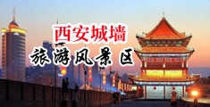 舔淫水中国陕西-西安城墙旅游风景区