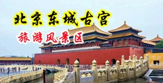 呜嗯啊啊啊,大鸡巴撞击小骚货的小骚逼好骚啊啊视频中国北京-东城古宫旅游风景区