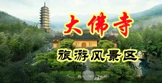 草莓操屄视频中国浙江-新昌大佛寺旅游风景区